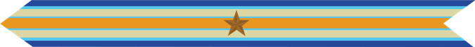 United States Marine Corps Inherent Resolve Campaign Streamer 
with 1 bronze star 